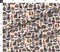 Spooky Season Black Cats Orange Pink Pumpkins Bats Potions Skulls Block Print Custom Printed Fabric by Spoonflower Various Fabrics by the Yard or Fat Quarter